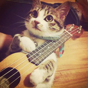 2021无码在线观看
